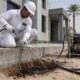 فني متخصص يقوم بعملية الحقن الكيميائي لحماية قواعد فيلا من الرمة في شمال الباطنة